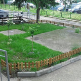 travnjak sa ogradom